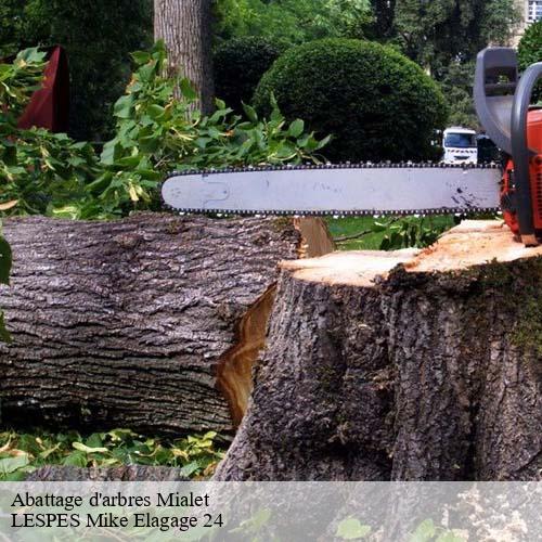 Abattage d'arbres  mialet-24450 LESPES Mike Elagage 24